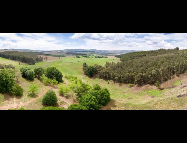 FARM FOR SALE IN LIDGETTON